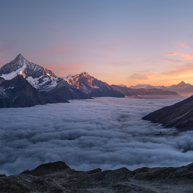 Premium Ashwagandha Powder